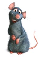ratatouille-foto2
